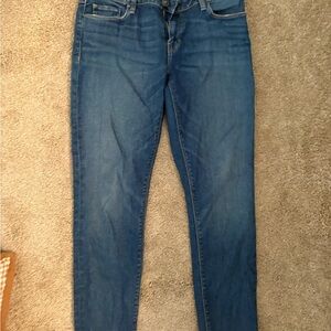 Hudson Jeans Women's Skinny Jeans - Blue